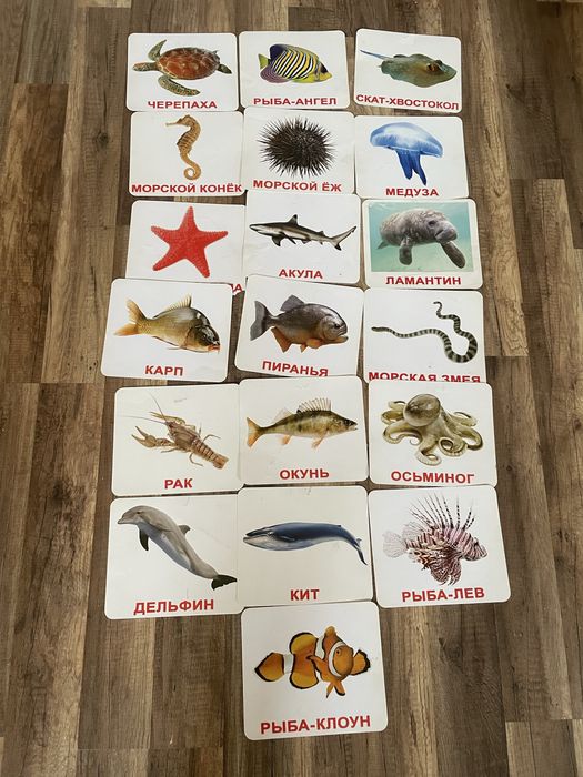 Розвиваючі картки Г. Домана