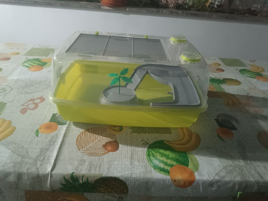 Tartarugueira grande em ótimo estado