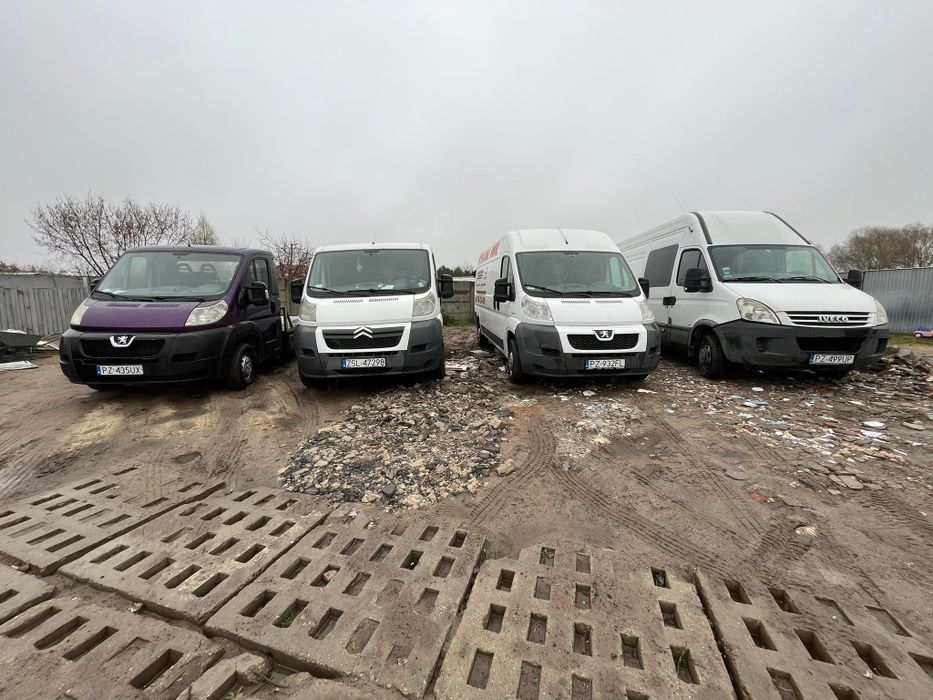 Wynajem aut  busów dostawczaki