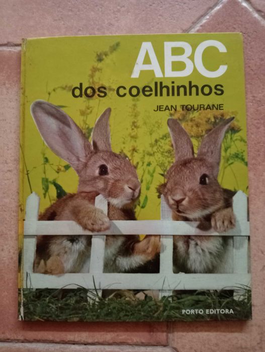 Livro - ABC dos Coelhinhos