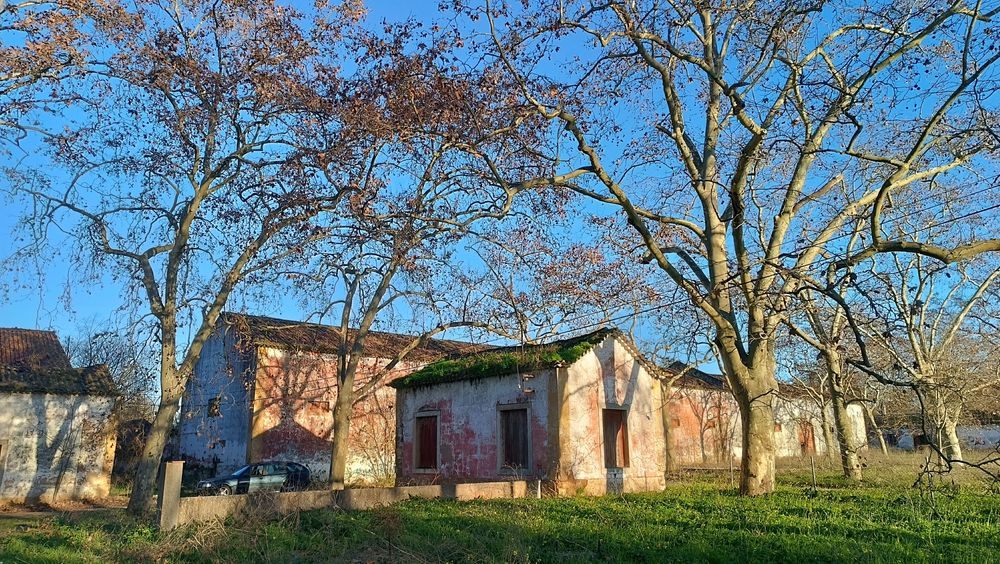 Mercedes CDI 220 Classic