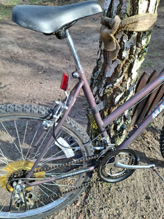 Rower Magna Zanzibar miejski