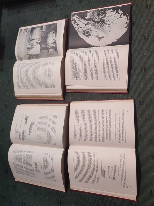 Instituto Campineiro de Ensino Agricola - 4 volumes