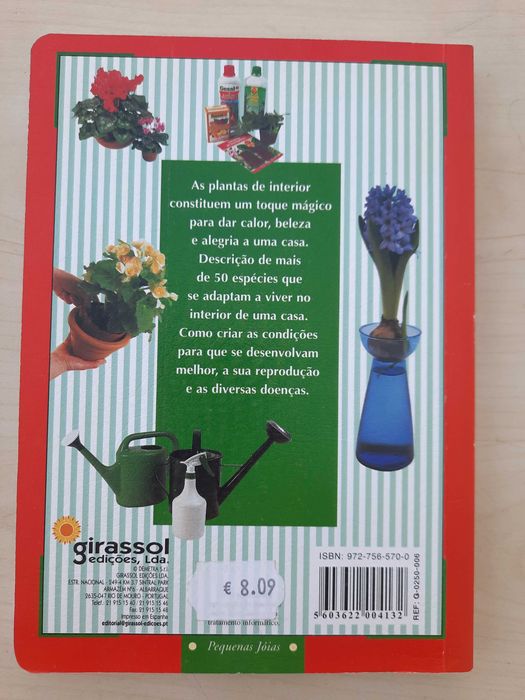 Saber mais sobre os cuidados a ter com as suas plantas de interior