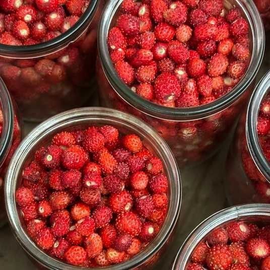 Свіжа лісова суниця! Ароматна та корисна (0.5 л)