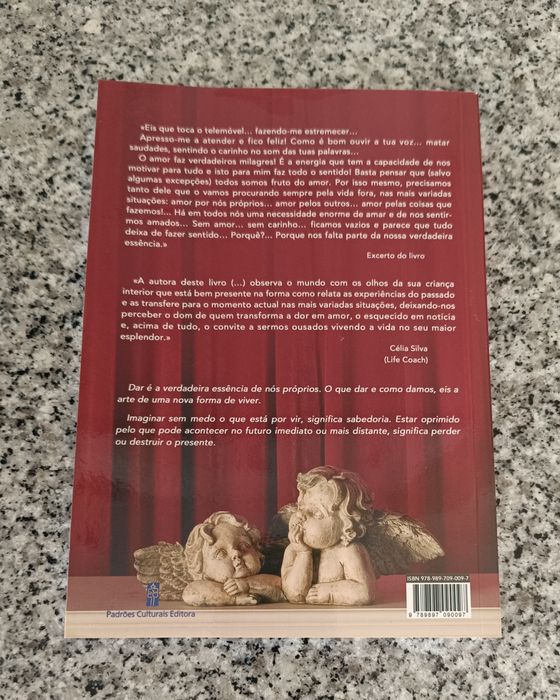 Livro Nas Asas do Pensamento de Karl Schmit e Maria Emília