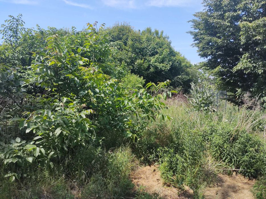 Nieruchomość budynkowa, Kutno, Chopina