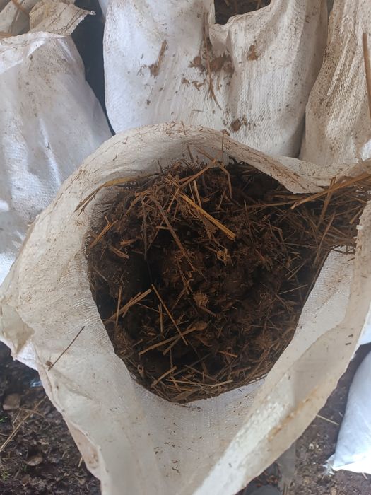 Obornik koński workowany