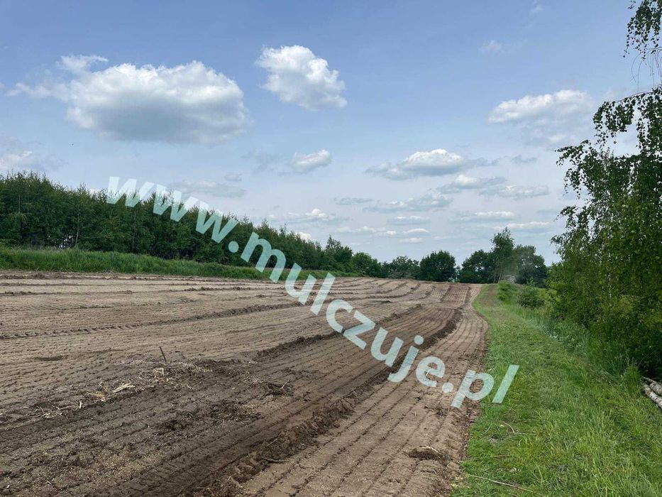 Mulczowanie wgłębne powierzchowne Alwernia Karczowanie działek Mulczer