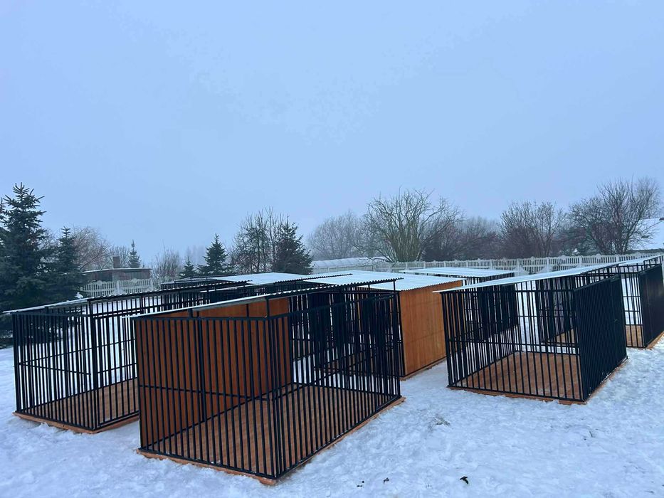 Kojec dla psa dostępny od ręki_OKAZJA!