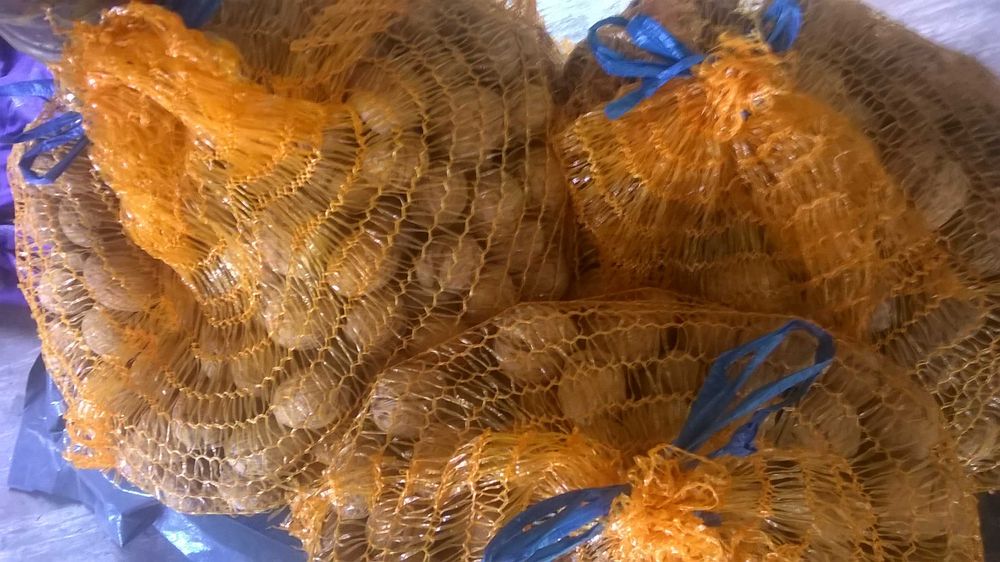 Orzechy Włoskie  Ekologiczne OKAZJA 2025