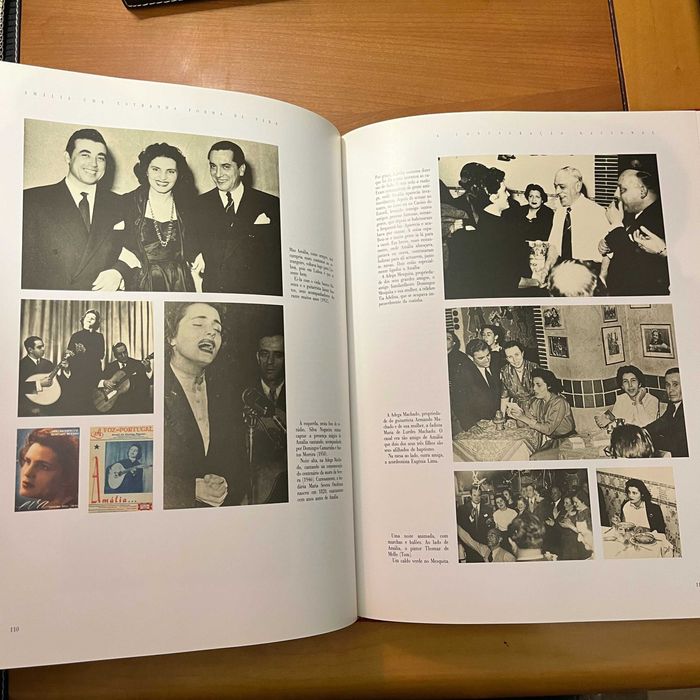 Vítor Pavão dos Santos - Amália : Uma Estranha Forma de Vida