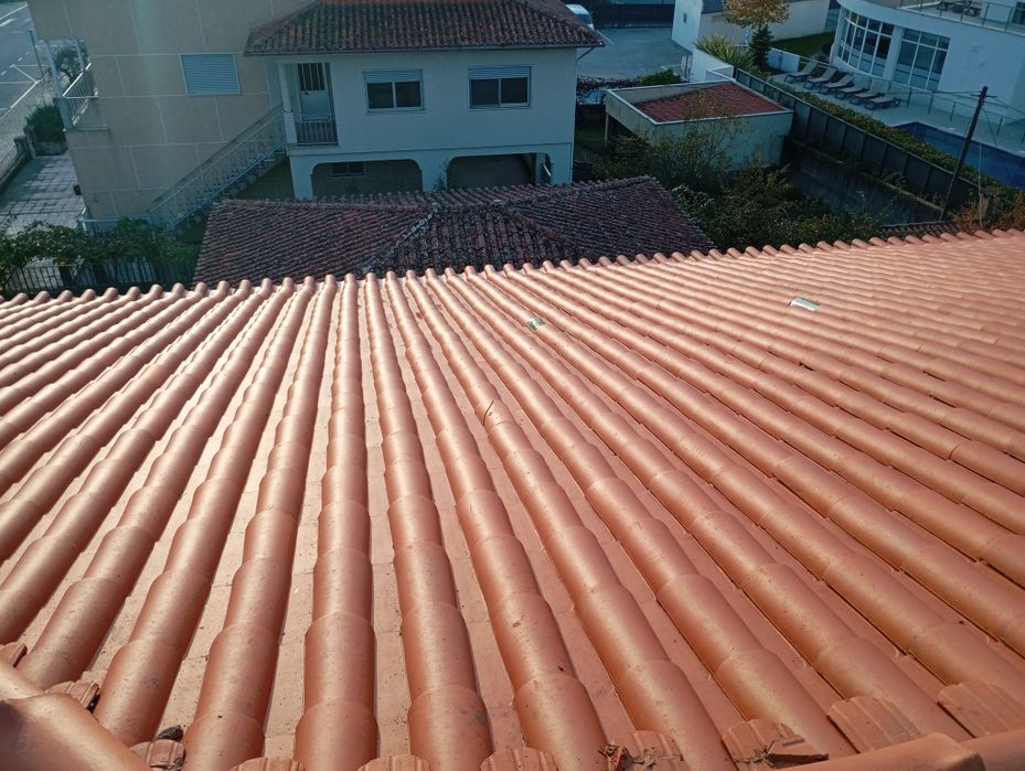 Limpeza de terrenos e florestas/Trabalhos em construção civil