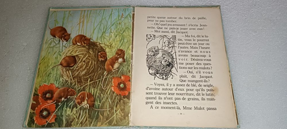 Livro antigo Au pays des bêtes anos 50 edição belga