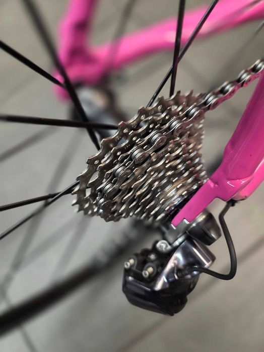 Szosowy Ridley na di2