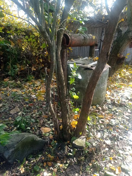 Газифікований будинок в селі Олишівка. Вода в будинку. БАНЯ.