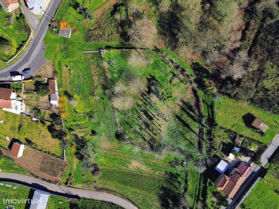 Terreno em Jafafe - Macinhata do Vouga