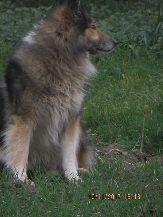 ZAGINĄŁ 6 LAT TEMU. Błagam o pomoc