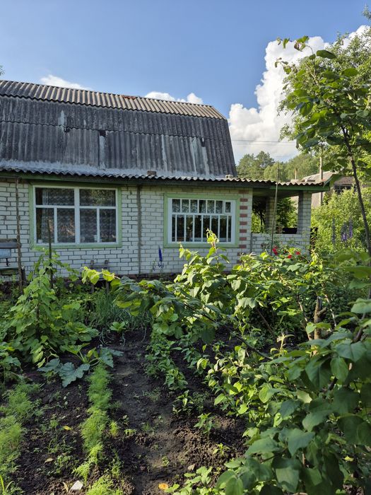 Дача в Деснянці с/т Ювілейне