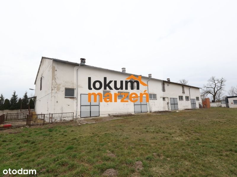 Okazja! 2 HALE PRODUKCYJNE NA DZIAŁCE 6144 m² | Dębina k. Bucza