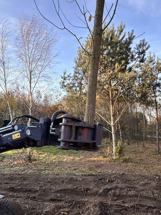 Wynajem MultiOne 8.5 + nożyce – precyzyjne usuwanie drzew, samosiejek.