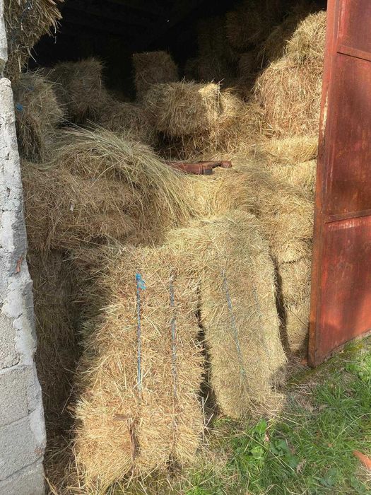 Fardos de Feno Médios