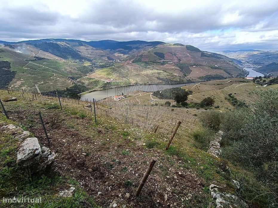 Terreno  para venda