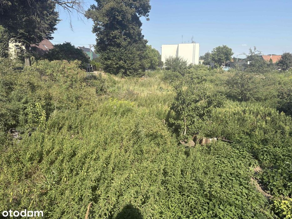 Działka rolna 3491 m² | Starczanowo | Potencjał zabudowy