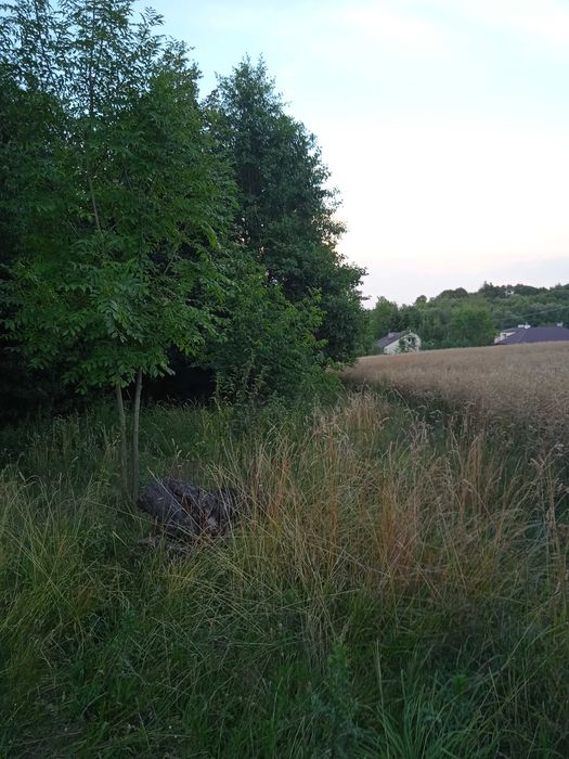 Husów 11 ar powiat łańcucki 4 Kl ziemi między domami 52800