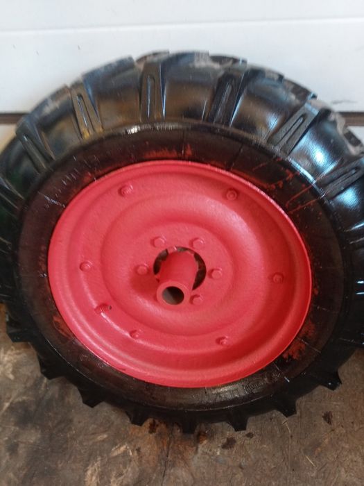 Dzik kola z piastami 16