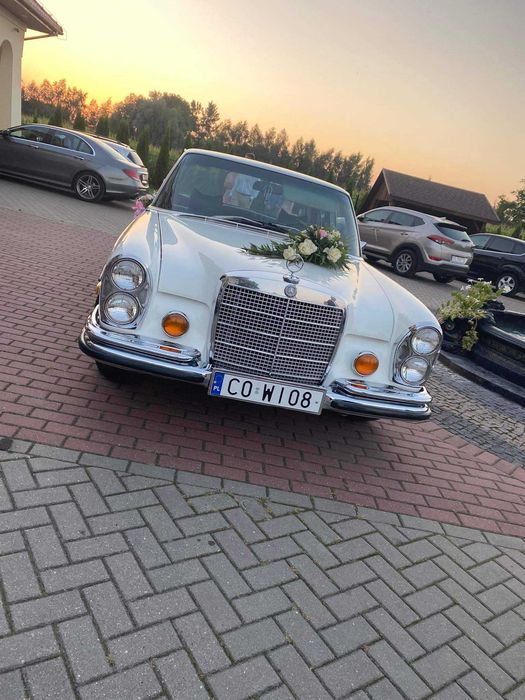 Piękne stare auto do ślubu Mercedes S-klasa WOLNE TERMINY