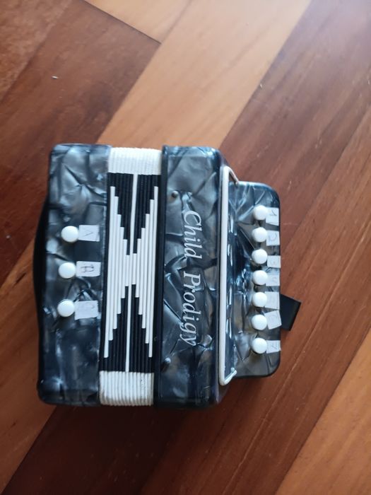 Cordiao de musica de miniatura