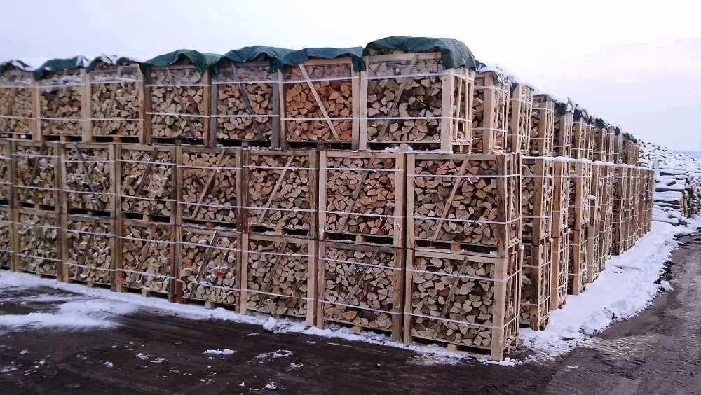 Drzewo / Drzewo opałowe / Opał