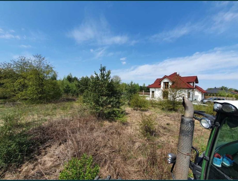 Mulczer wgłębny, Wycinka drzew, Karczowanie, Rekultywacja, Czyszczenie