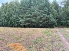 Działka rolna 1.46 ha, Białki gm. Tłuszcz - View 2