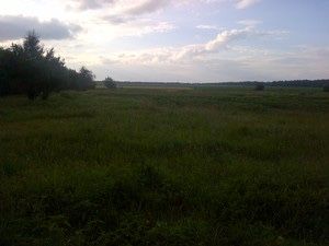 Продам земельну ділянку 24 сотки