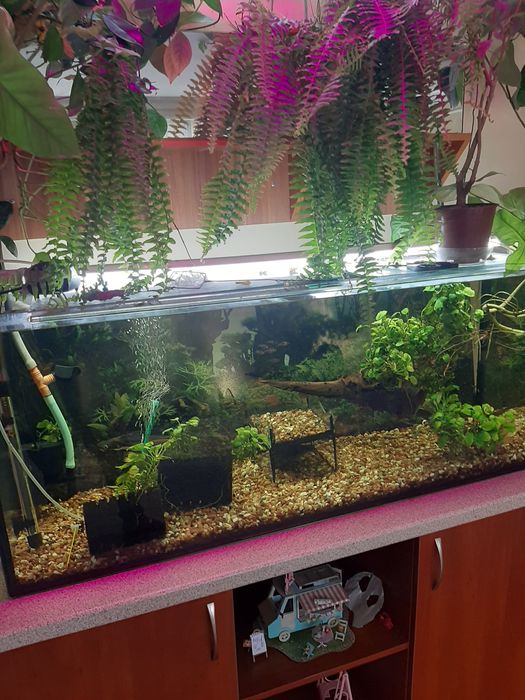 Продам аквариум на 250л: 4 500 грн. - Акваріумістика Запоріжжя на Olx