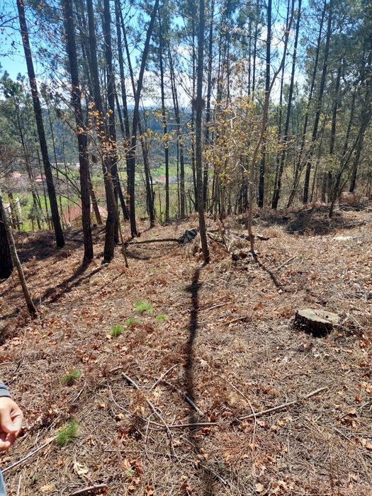 Vendo terreno Urbanizável