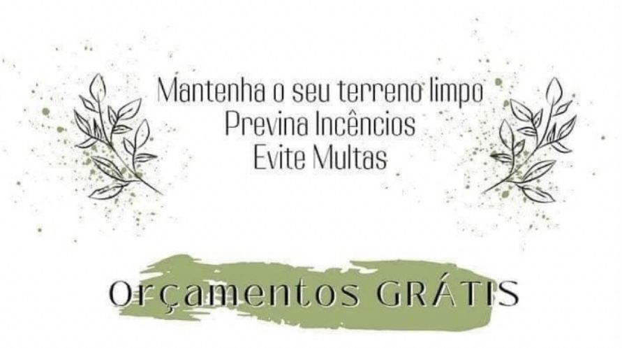 Jardinagem/Limpeza Terrenos/Abate Àrvores