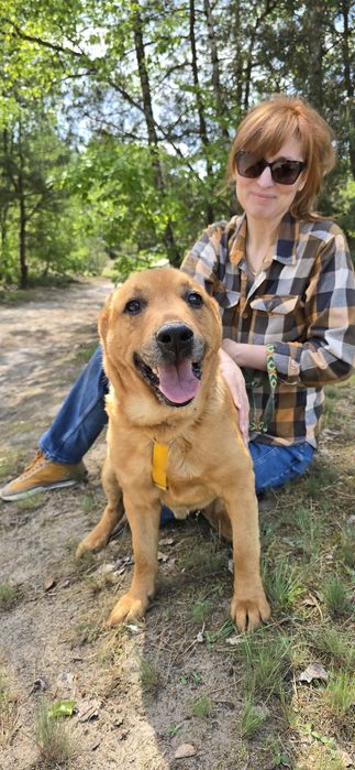 Super pies Spejson czeka w schronisku na domek