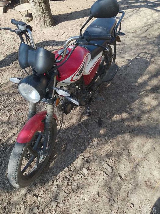alpha forte 125. 2020 року