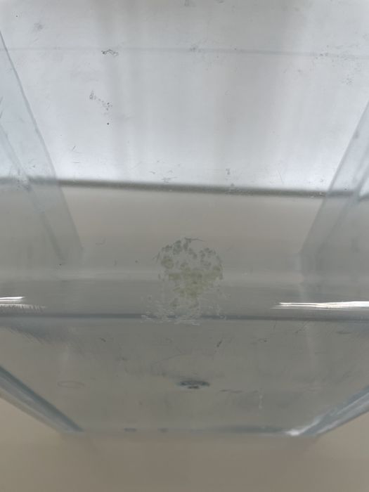 Gaveta frig/combinado aeg