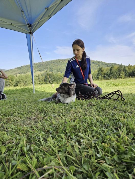 Opieka nad psami i kotami pettsiter