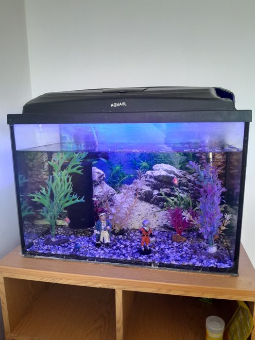 Zestaw akwariowy Aquael 96L + szafka – kompletny + rybki GRATIS, gotowy do działania