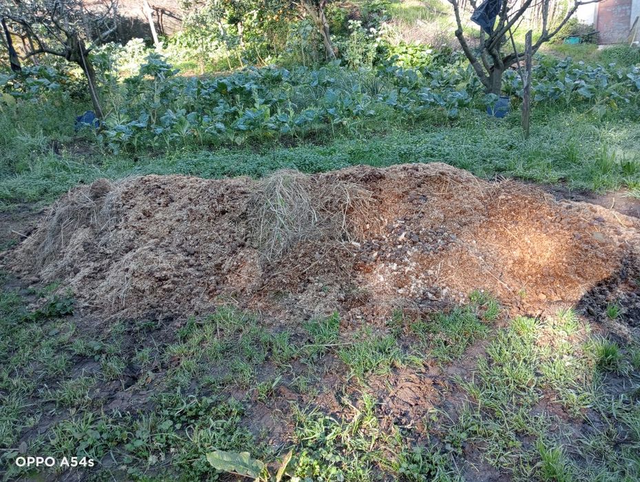 Estrume de  cavalo