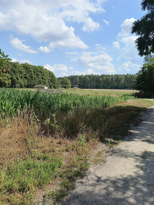 Działka budowlana 1500m² w Kłodzisku blisko lasu