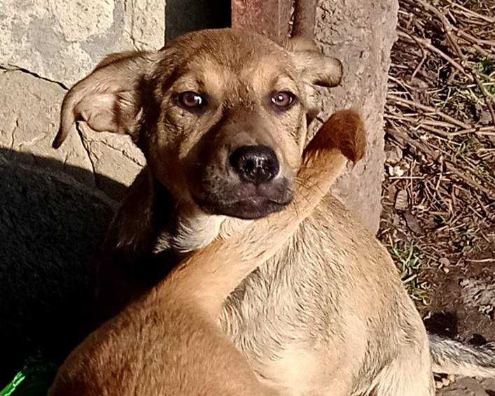 Хлопчик і дівчинка в гарні родини