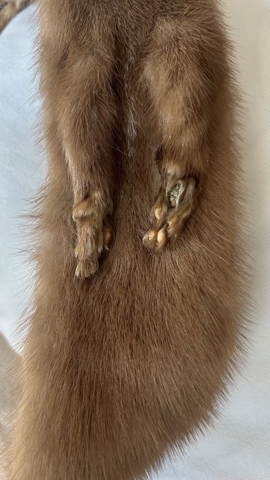 Estolas vintage em pele de Marta/Vison-par raro e autentico