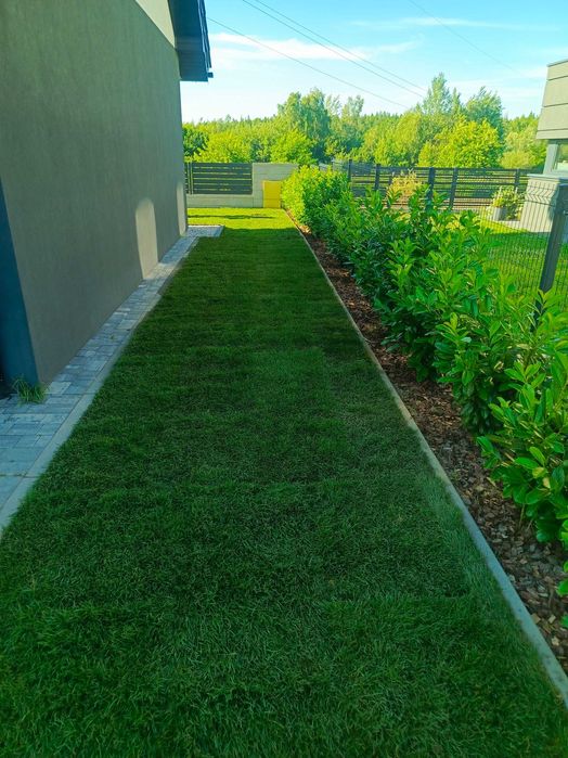 Zakładanie Ogrodów / Aeracja Wertykulacja / Trawa z rolki