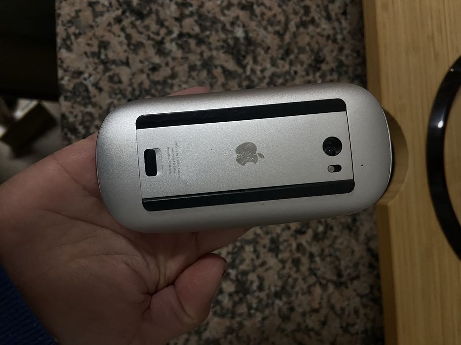 Teclado + magic mouse apple